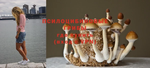 хмурый Остров
