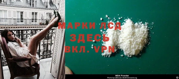 ГАЛЛЮЦИНОГЕННЫЕ ГРИБЫ Белая Холуница