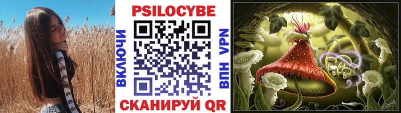 Купить  Кувшиново  Псилоцибиновые грибы MAGIC MUSHROOMS 