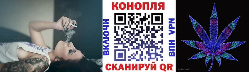 Бошки Шишки ГИДРОПОН Кувшиново